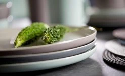 Ritzenhoff & Breker Tafelservice, 8-teilig Jasper | Mint / Weiß 9 Ritzenhoff & Breker Tafelservice, 8-teilig Jasper | Mint / Weiß -Geschirr Verkaufsladen 11524731 1 202012232232